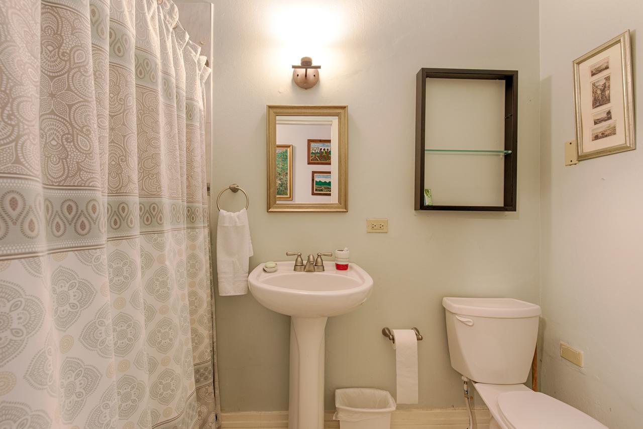 Chester Avenue Guest House Кінгстон Екстер'єр фото
