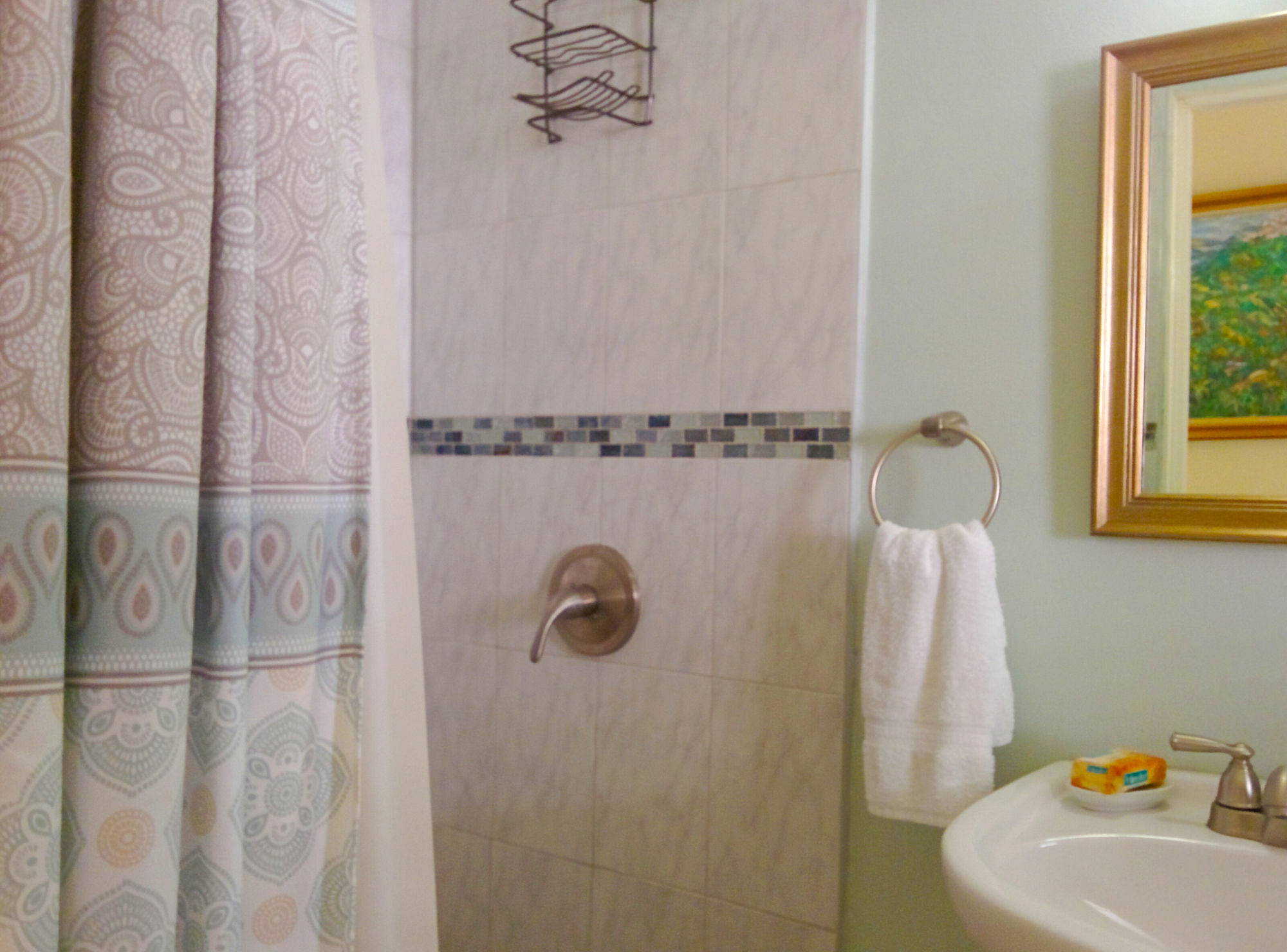 Chester Avenue Guest House Кінгстон Екстер'єр фото