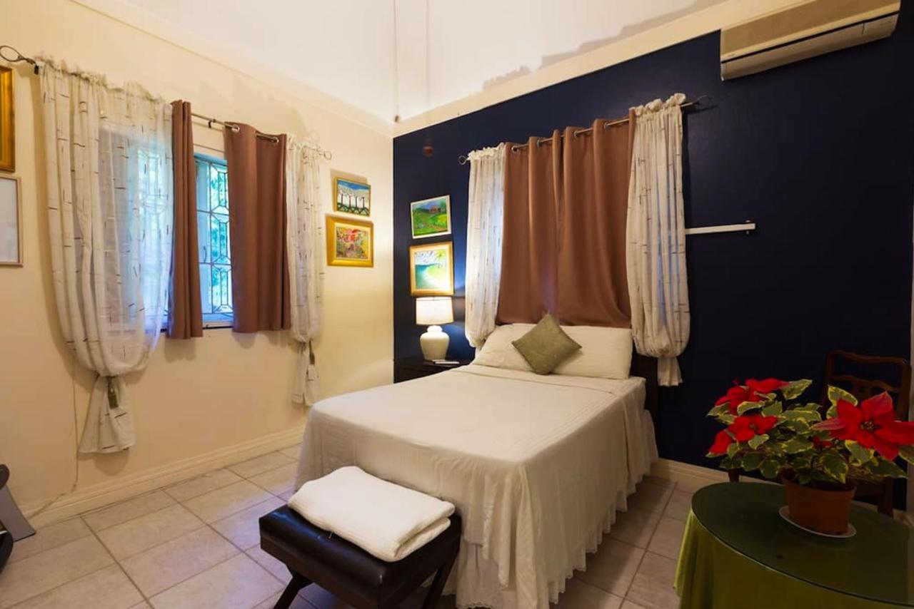 Chester Avenue Guest House Кінгстон Екстер'єр фото